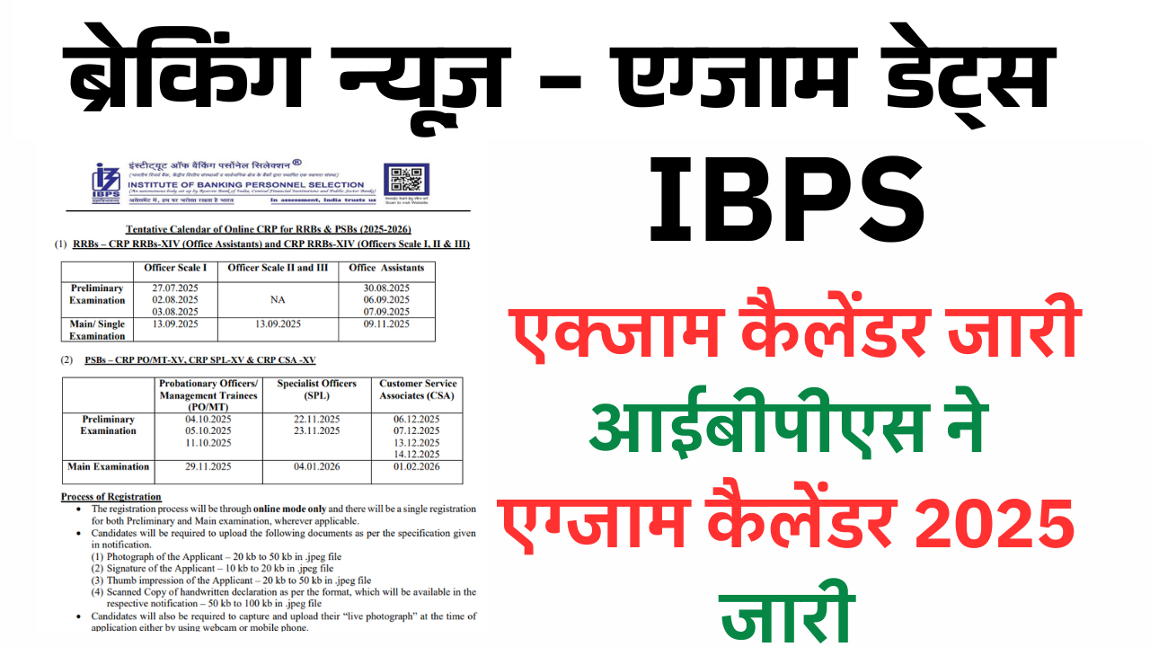 IBPS Exam Calendar 2025